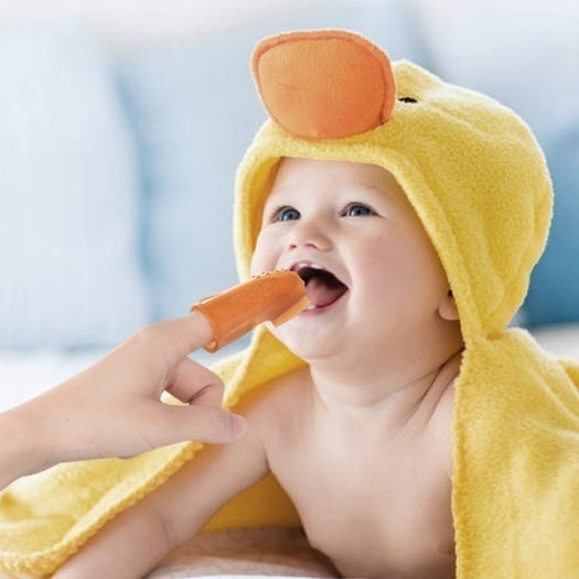 Cartoon finger toothbrush H41-171