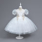 Girls Princess Dress  LZ006