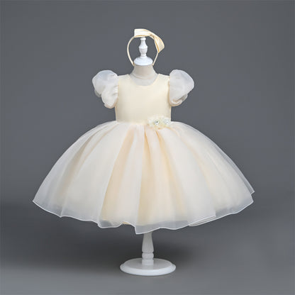 Girls Princess Dress  VA030