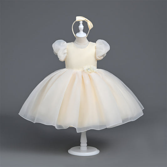 Girls Princess Dress  VA030