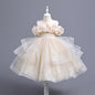 Girls Princess Dress  VA212