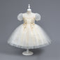 Girls Princess Dress  LZ006