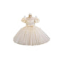 Girls Princess Dress  VTC122