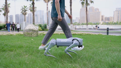High-end Intelligent Quadruped Robot System